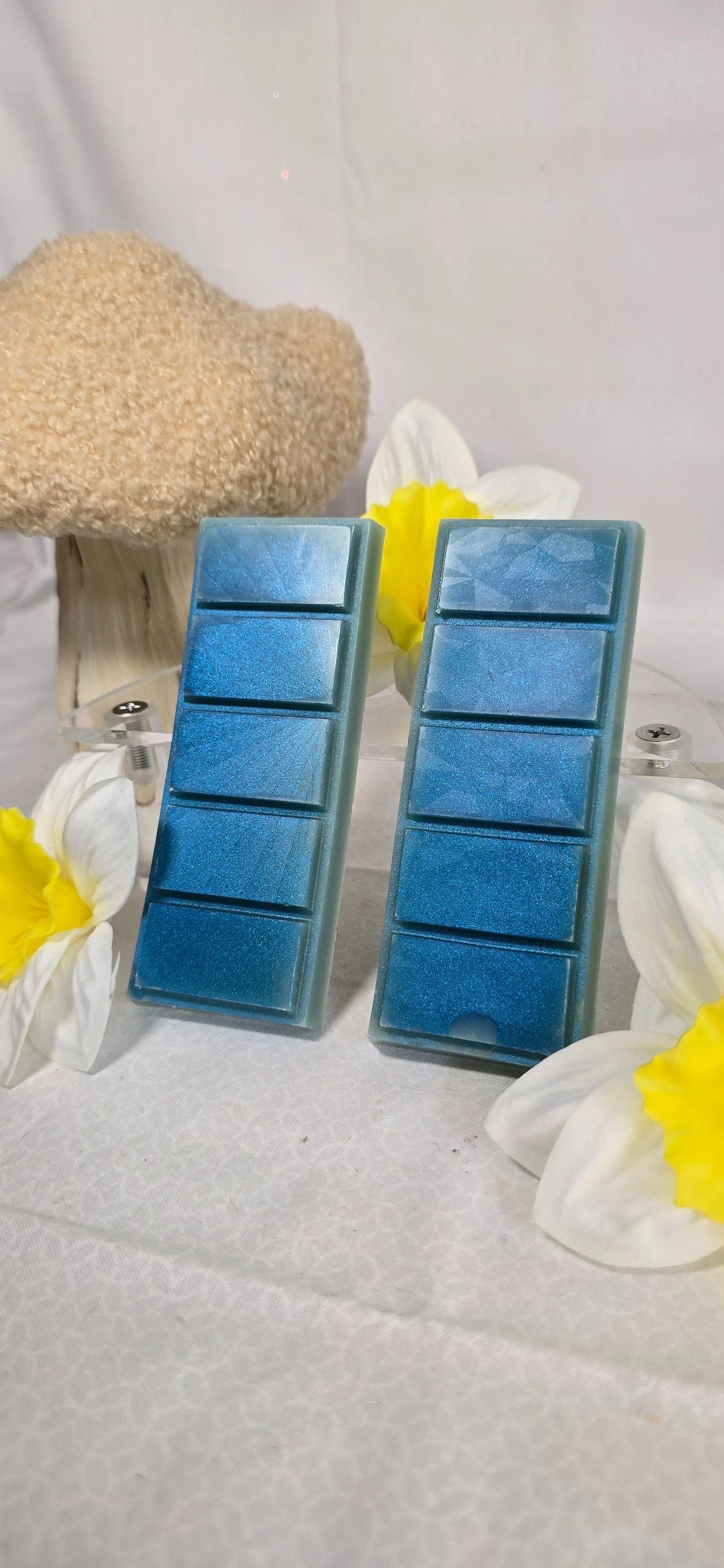 Tranquility Beeswax Wax Melts - Spa-Like Aromas for Relaxation - Reid Street Soap Co, LLC