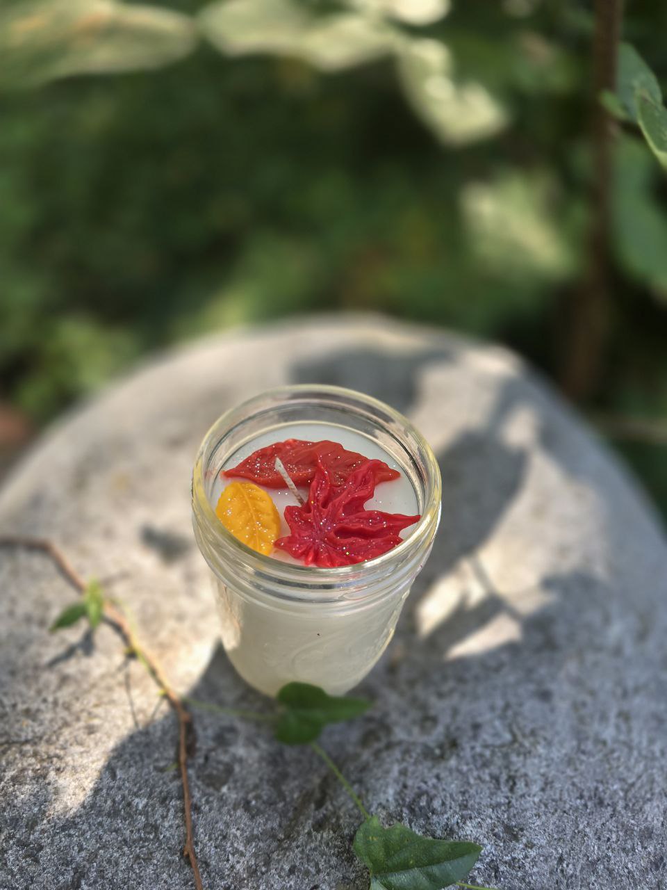 Falling Leaves Coconut Wax Candle | Crisp Apple & Warm Autumn Spice