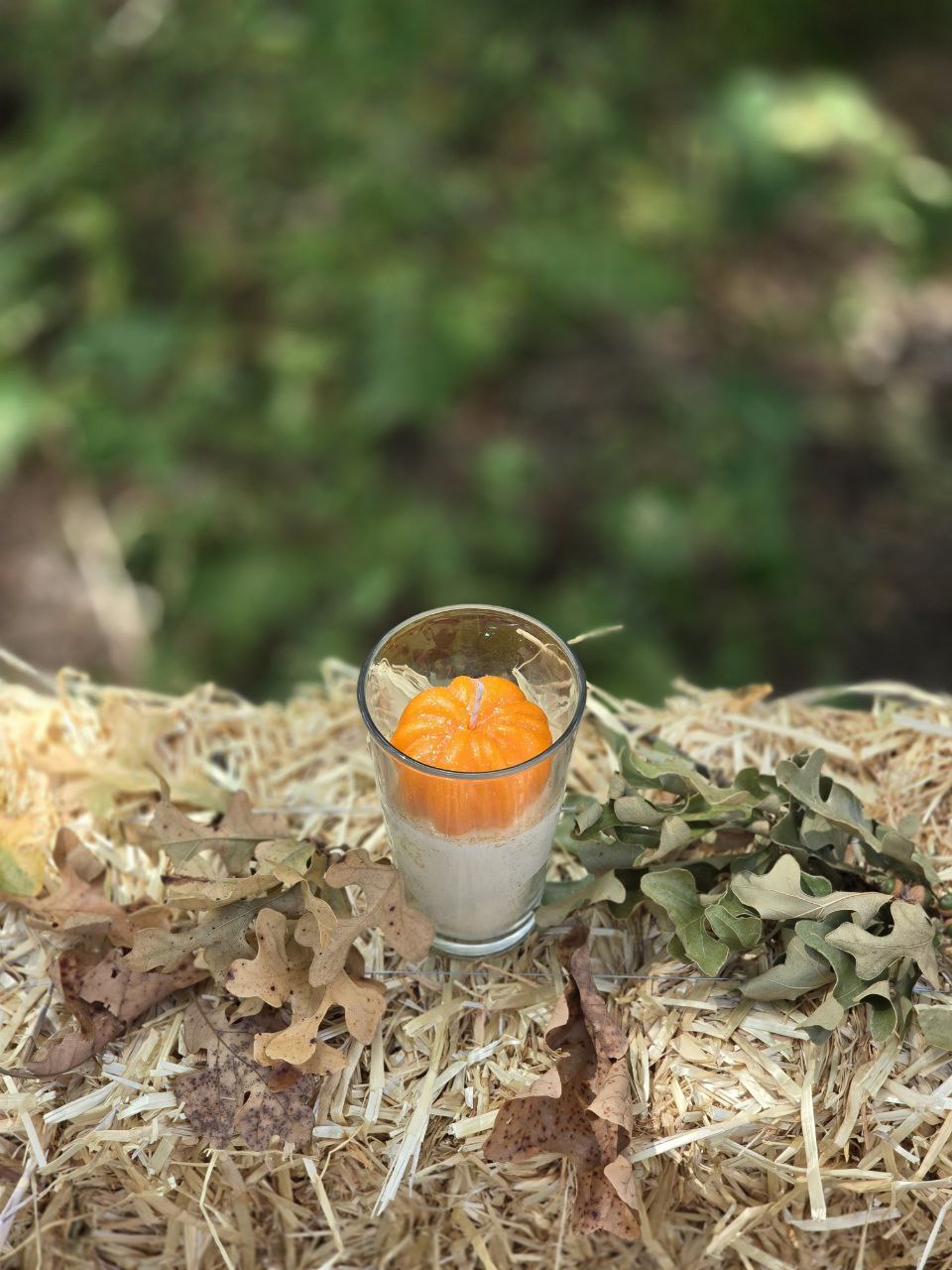 Country Pumpkin Spice Candle | Cozy Autumn Scent in Handcrafted Glass