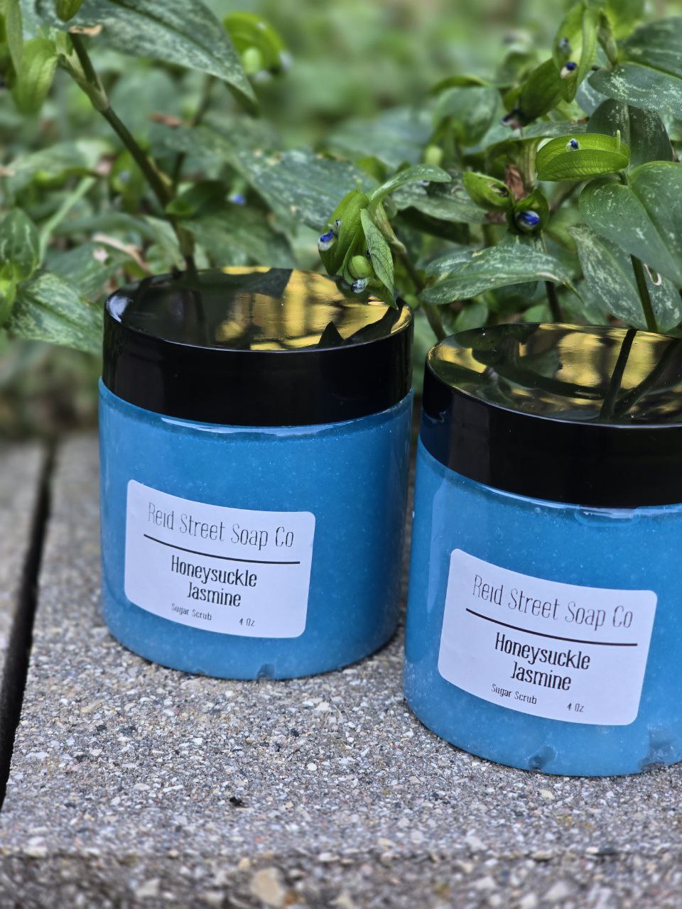 Sky Blue Honeysuckle Jasmine Scrub - 4 oz