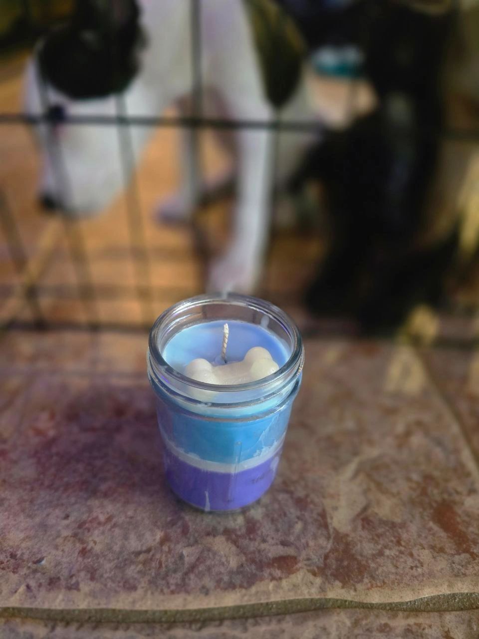 Puppy's Breath | Coconut and Beeswax Candle - Reid Street Soap Co, LLC