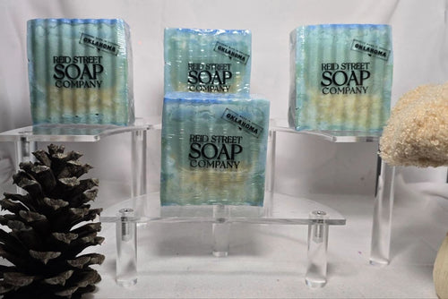 Mountain Man | Primal Elements Beef Tallow Soap - Reid Street Soap Co, LLC