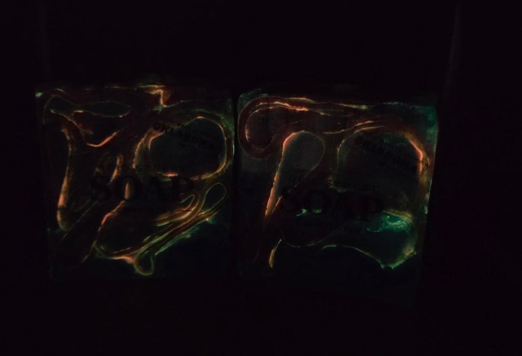 🦈 HAMMERHEAD SHARK