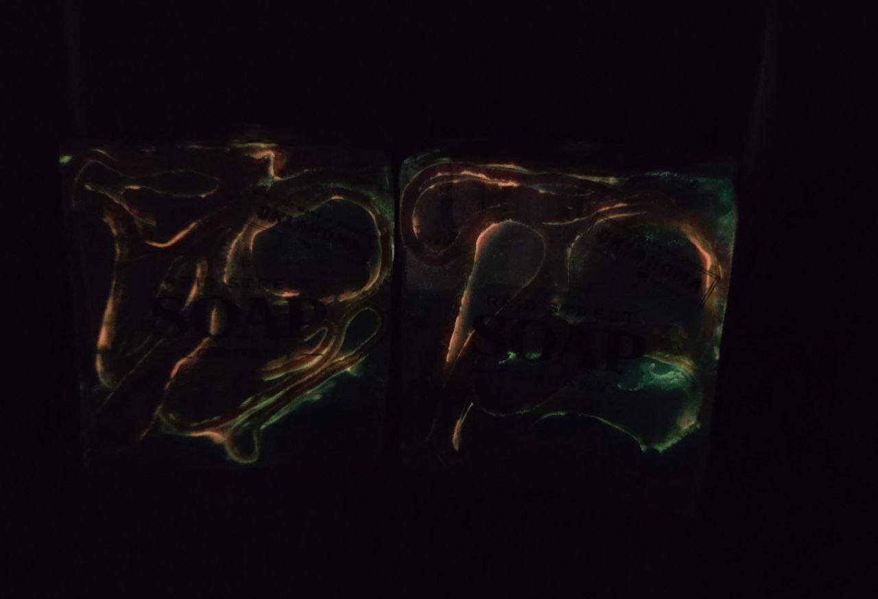 🦈 HAMMERHEAD SHARK